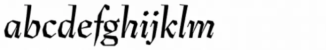 Preissig Antikva Medium Italic