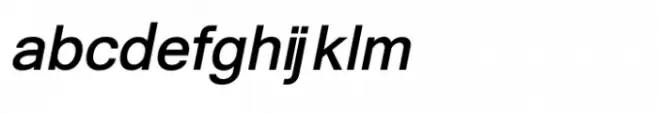Shree Devanagari 1033 Bold Italic
