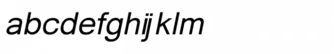 Shree Devanagari 1033 Italic