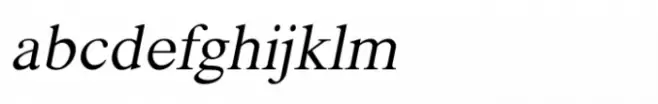 Shree Devanagari 2361 Italic