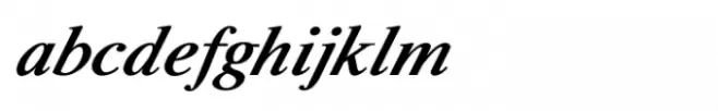 Shree Devanagari 2363 Italic