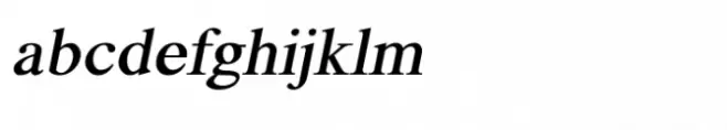Shree Kannada 0893 Bold Italic