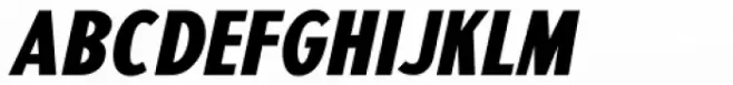 Sign Designer Oblique JNL