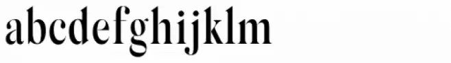 Silk Serif Condensed Medium