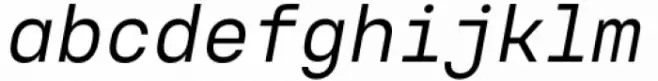 Voyager Mono Regular Italic