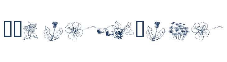 wmflowers2 font — Lorem ipsum body text preview