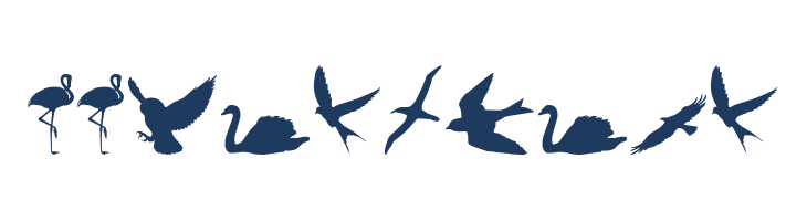 Birds of a Feather font — Lorem ipsum body text preview