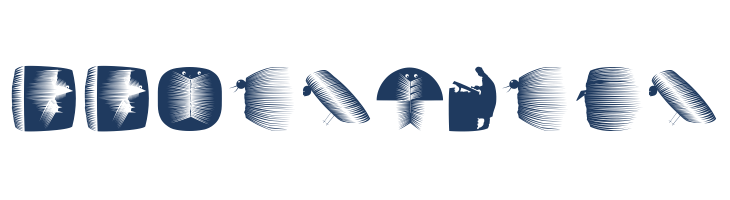 BookBeings font — Lorem ipsum body text preview